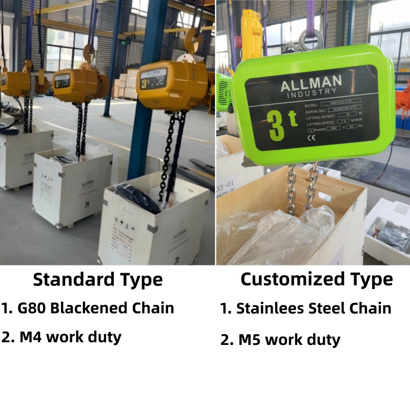 chain hoist customized.jpg