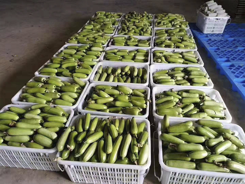 agricultural bins.jpg