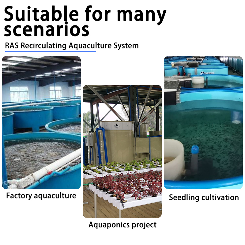QLOZONE QL-YZ-XT-30 RAS Skid Filtration System for commercial aquaculture