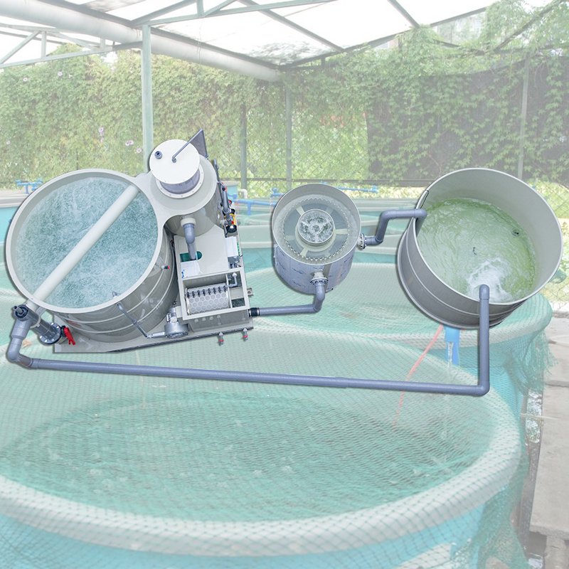 QLOZONE All-in-One RAS Skid Filtration System: The Ultimate Plug-and-Play Solution for Modern Recirculating Aquaculture