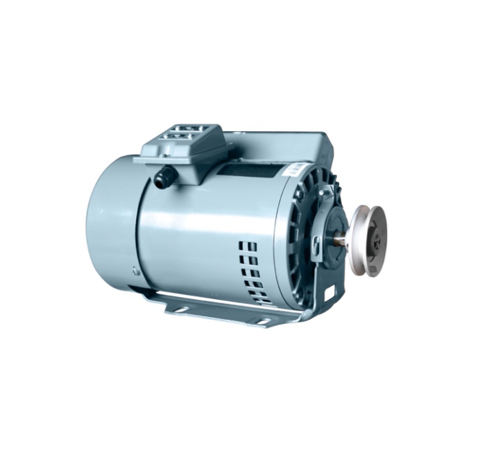 YL4824 Induction motor