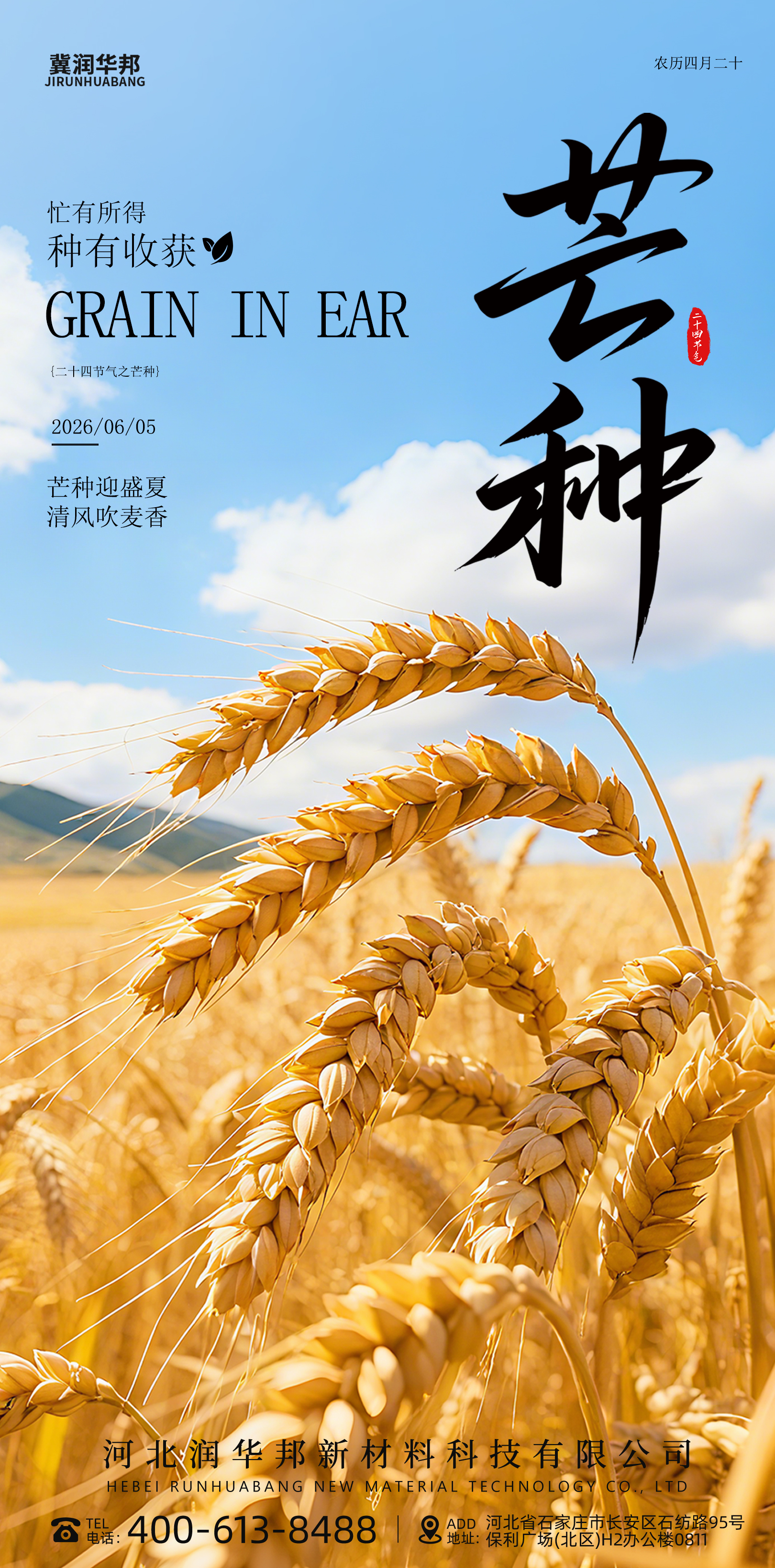 Riflessioni sulla vita ispirate dal Grano che matura