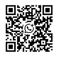 Y2K Solutions: Guide to Millennium Bug Prevention