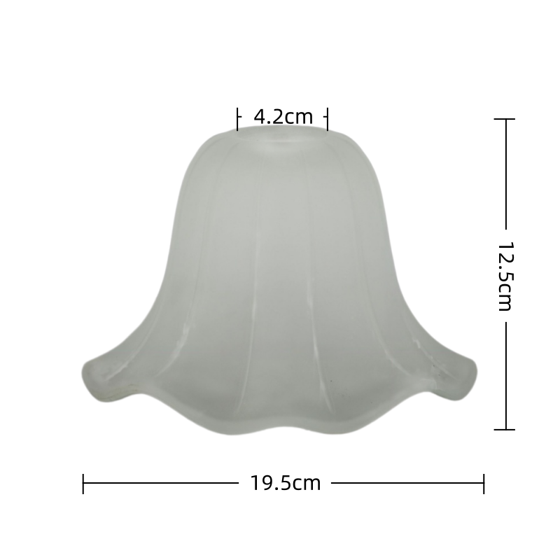 21826007816_1321872719.png