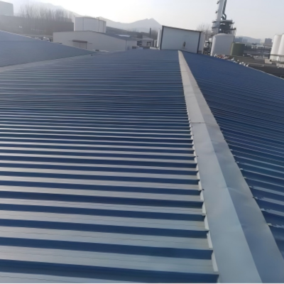 One Application, Three Major Problems Solved – Food Plant Roof Repair Case1