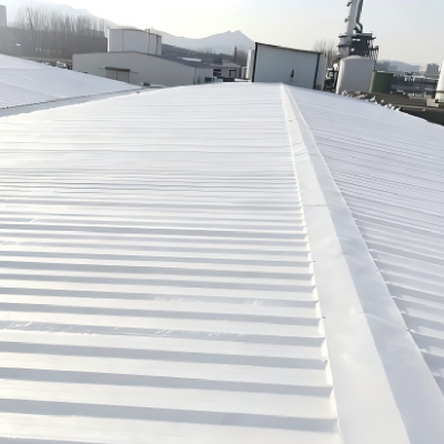 One Application, Three Major Problems Solved – Food Plant Roof Repair Case5