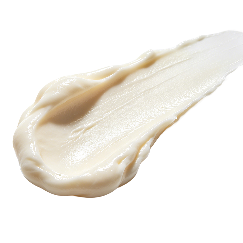 Camellia Firming Cream