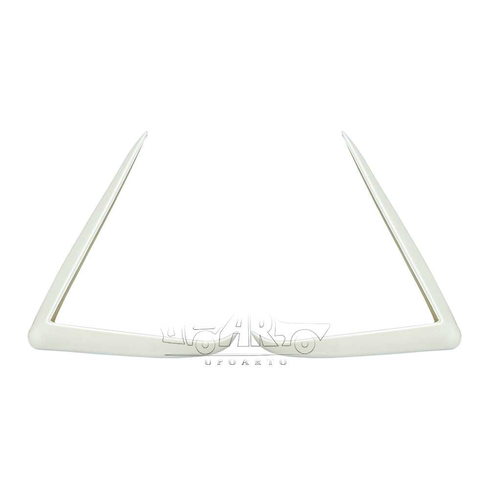 model y fog light cover 2026.jpg