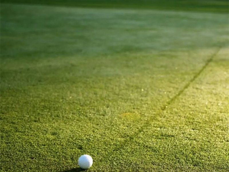 Choose the wrong one and ruin everything! Here are the key points to know when choosing a golf course
