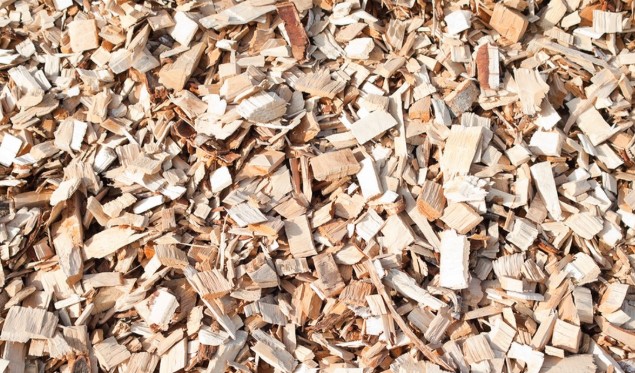 wooden activated carbon.jpg