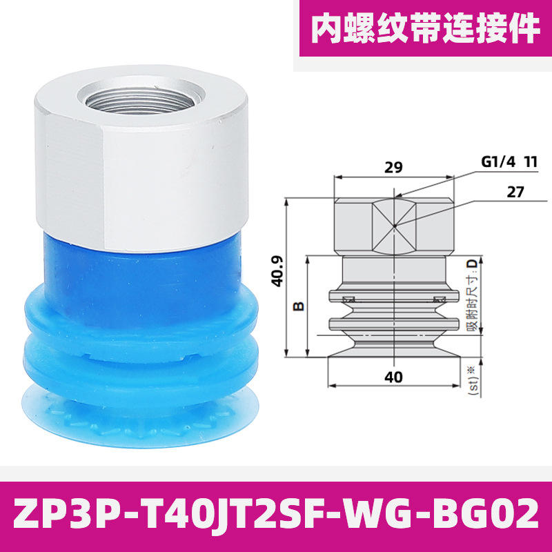Zp3p-t40jt2sf-wg-bg02