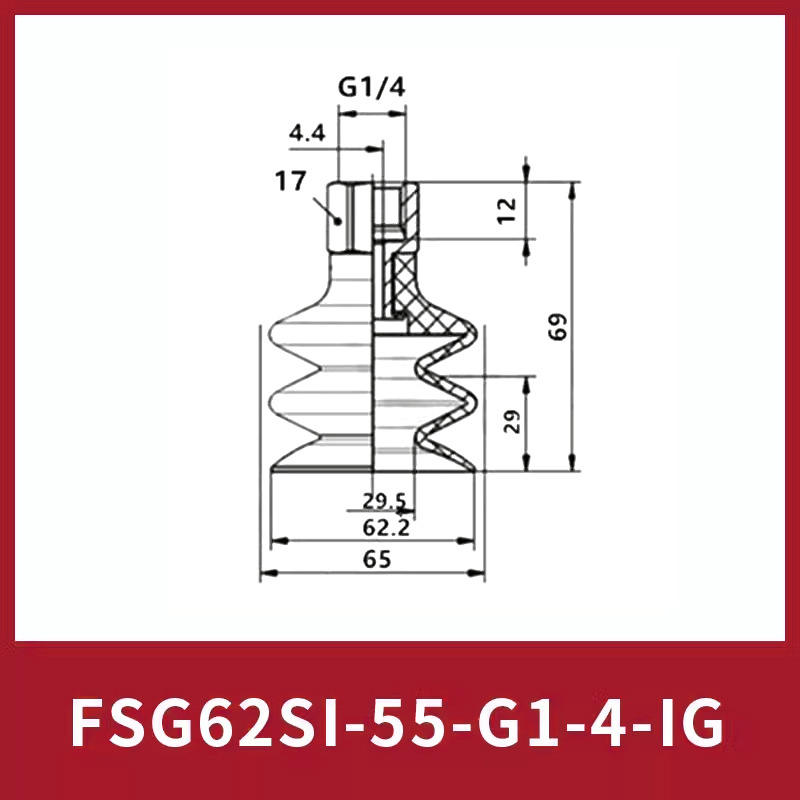 Fsg62si-55-g1/4-ig
