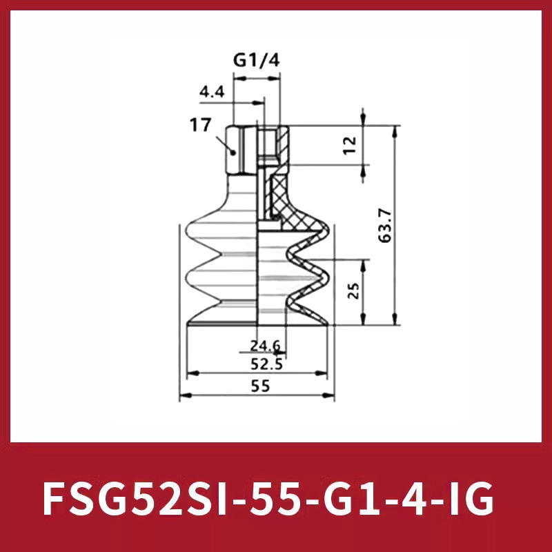 Fsg52si-55-g1/4-ig